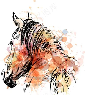 彩色喷绘线描马装饰图图片
