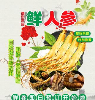 鲜人参图片
