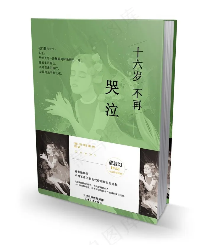 书籍装帧图片(4843X3189(DPI:300))psd模版下载