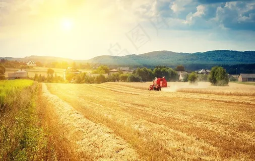 麦田丰收图片 麦田丰收图片