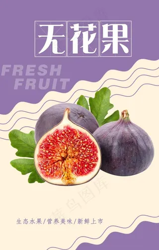 无花果海报图片