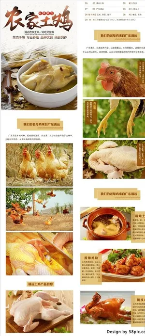 电商中国风秋季养生土鸡详情页图片