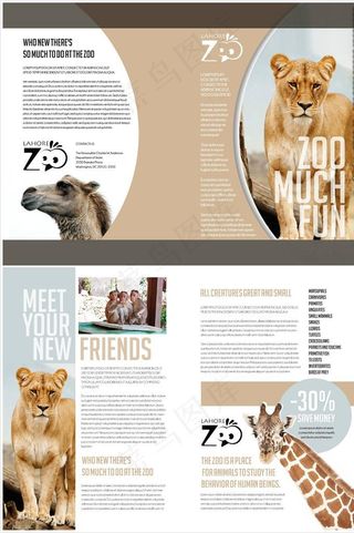 非洲野生动物画册图片