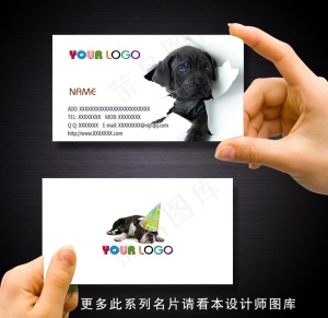 宠物店名片图片