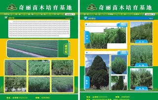 苗木培育基地图片