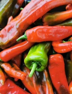 青椒图片