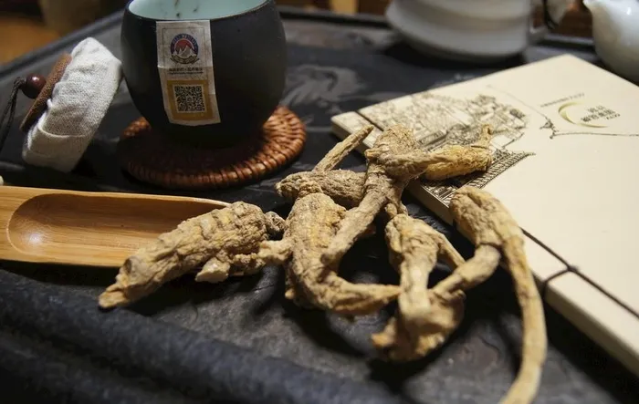 西洋参图片