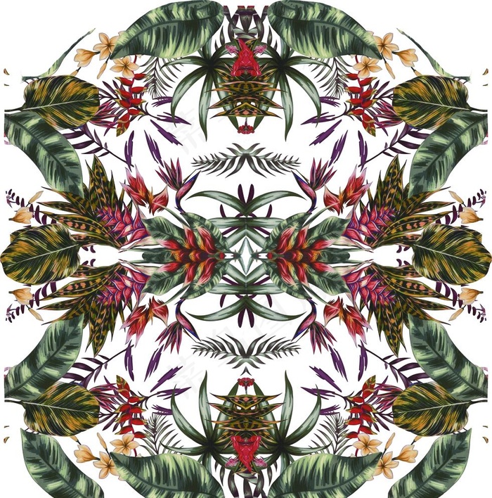 热带植物图片