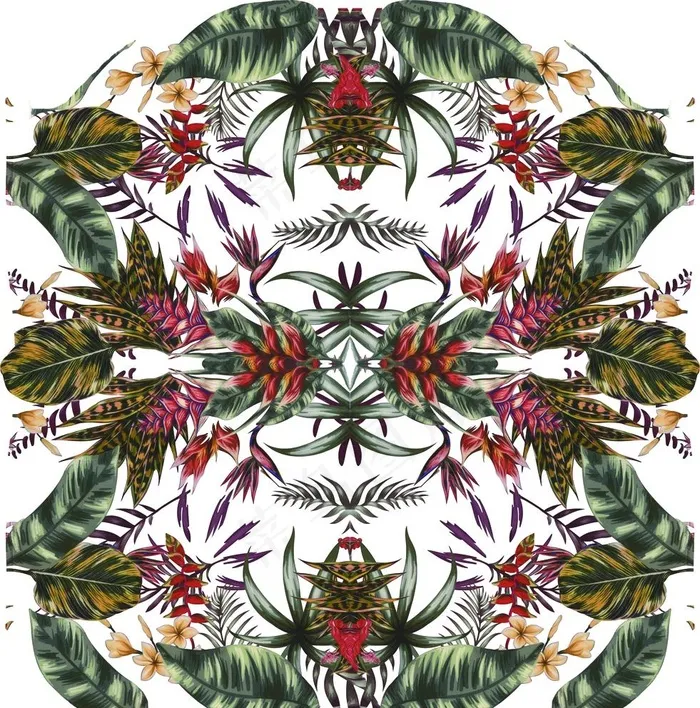 热带植物图片