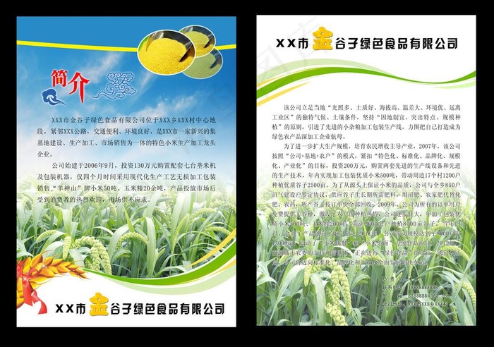 谷子彩页图片
