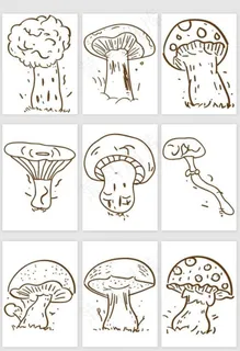 线条蘑菇图片