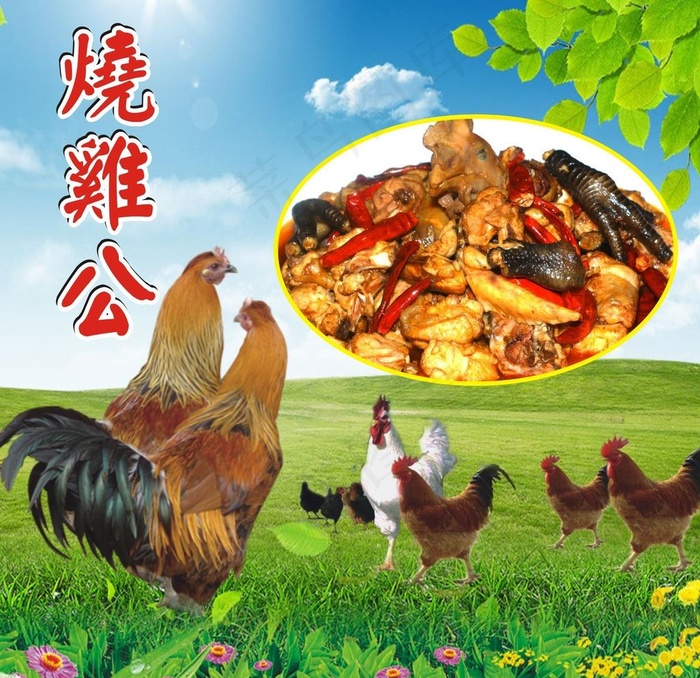 烧鸡公图片