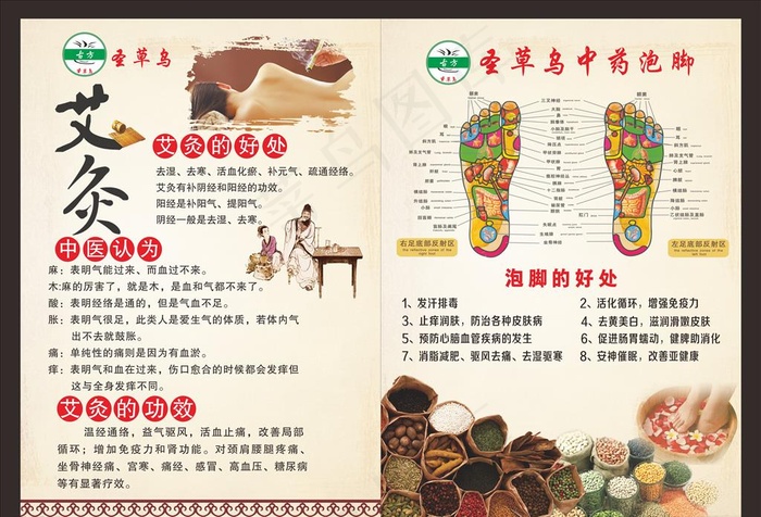 圣草乌艾灸宣传单图片(600X1600)cdr矢量模版下载