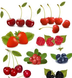 水果设计矢量图图片 水果设计矢量图图片