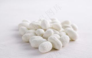 桑蚕丝 蚕茧图片