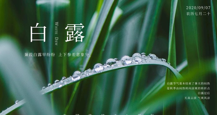 白露图片(9449X5315(DPI:300))psd模版下载