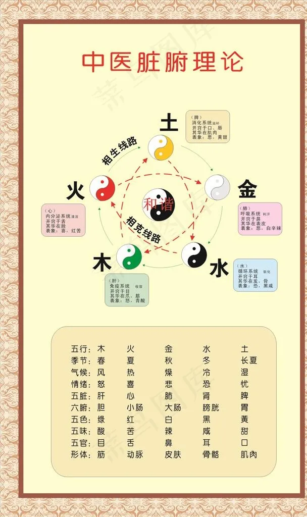 中医脏腑理论图片(210X297)cdr矢量模版下载