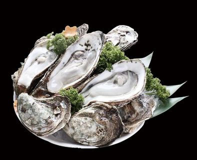 生蚝图片