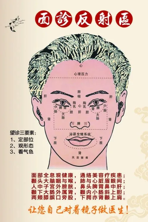 面诊图图片cdr矢量模版下载