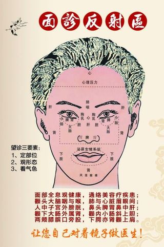 面诊图图片