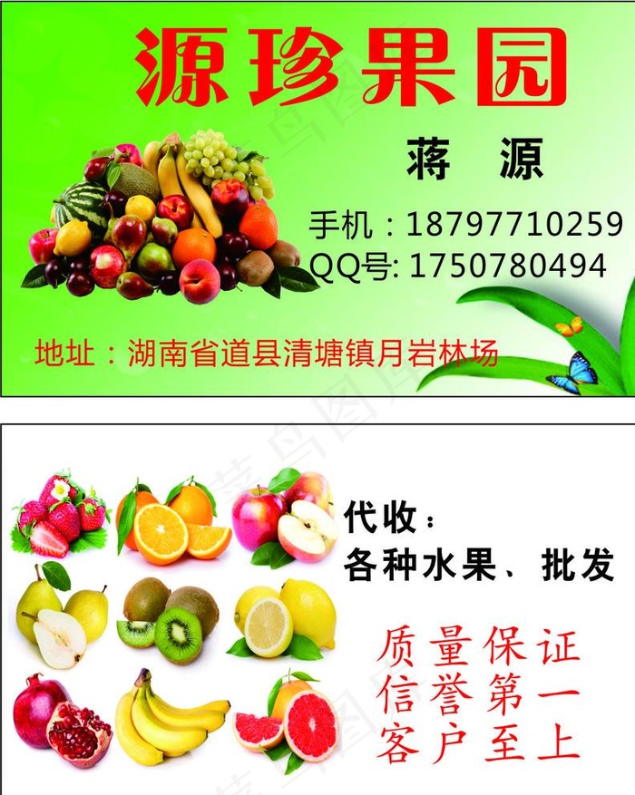 水果名片图片cdr矢量模版下载