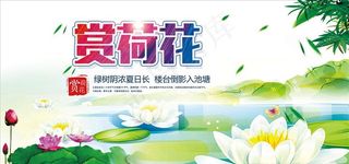 高端创意赏荷花海报图片