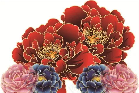 牡丹花图片 牡丹花图片