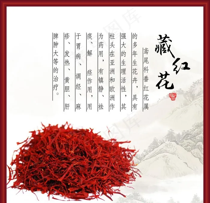 藏红花图片(3780X3780(DPI:274))psd模版下载