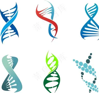 基因DNA图片