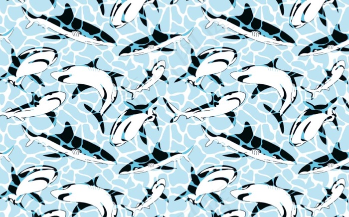 鲨鱼 沙滩裤图片