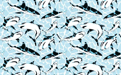 鲨鱼 沙滩裤图片 鲨鱼 沙滩裤图片