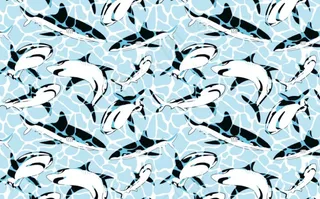 鲨鱼 沙滩裤图片