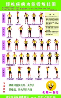 挂图颈椎图片