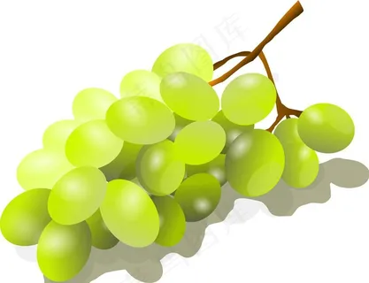 青提葡萄图片 青提葡萄图片