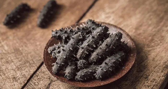 海参摄影图图片