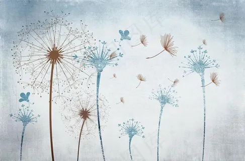 蒲公英背景墙图片 蒲公英背景墙图片