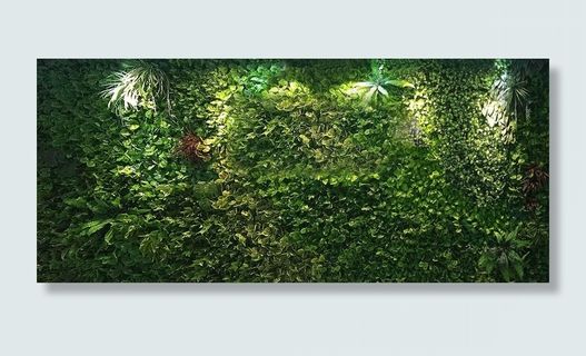 绿植墙面图片