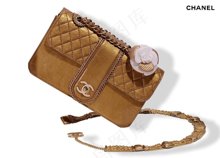 时尚女菜鸟图库片