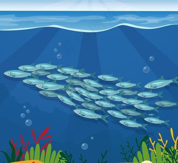 美丽海底银色鱼群图片