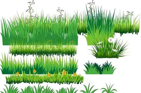 草图片