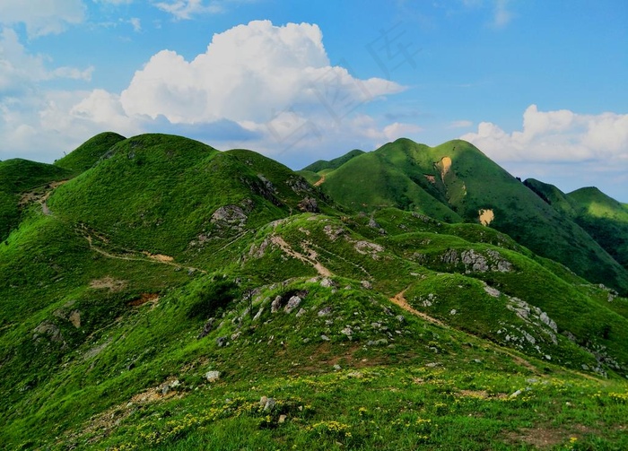 高山草原 白云蓝天 绿野 空旷图片