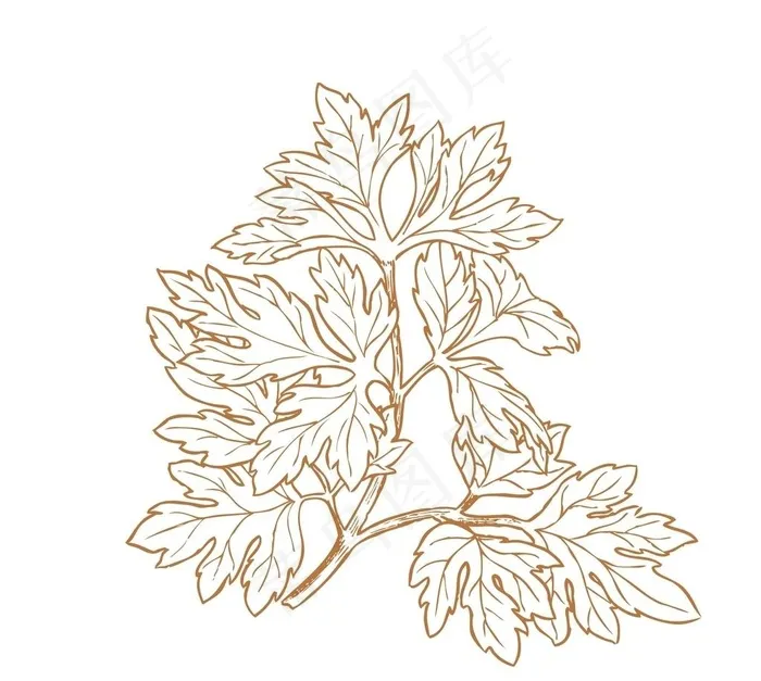 艾草图片ai矢量模版下载