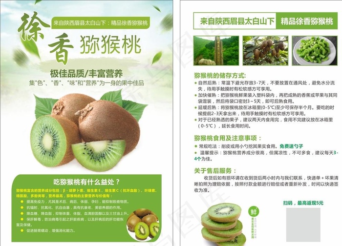 猕猴桃宣传单页广告海报图片cdr矢量模版下载
