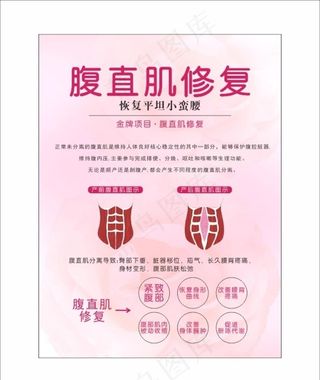 腹直肌修复 腹直肌 身材 腹部图片