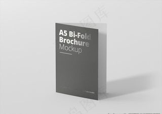 黑色烫银折页样机图片