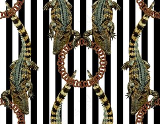 数码 印花 大牌 欧式风格 链图片