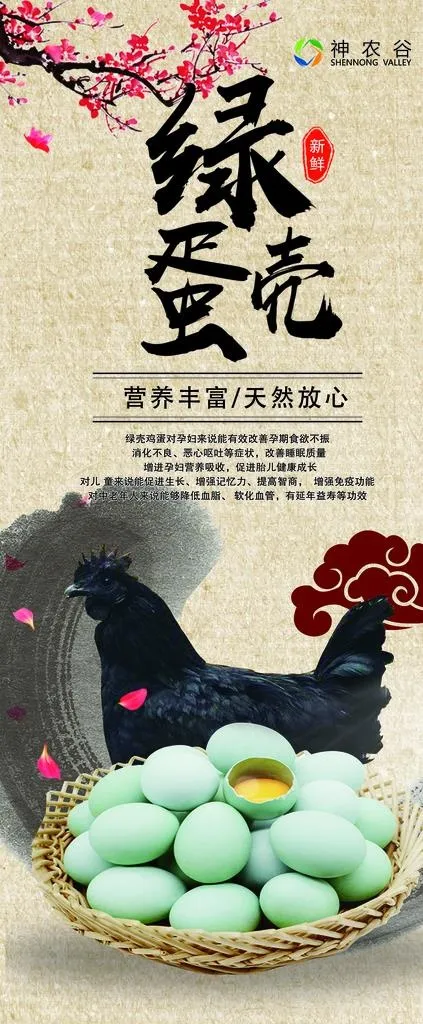 绿壳蛋图片(4724X10630(DPI:150))psd模版下载