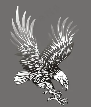 飞翔的雄鹰图片