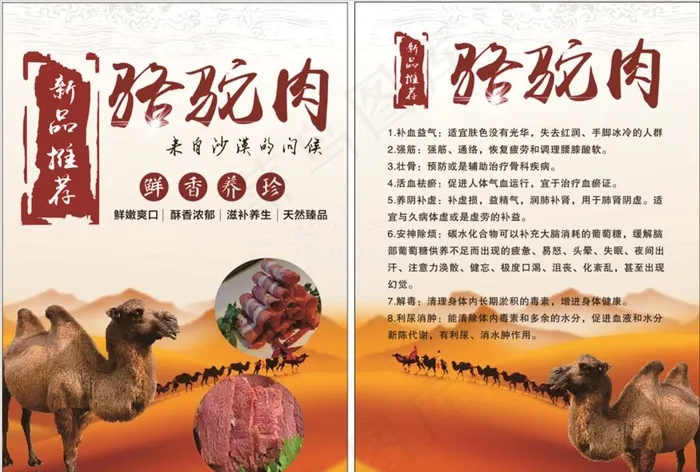 骆驼肉图片cdr矢量模版下载