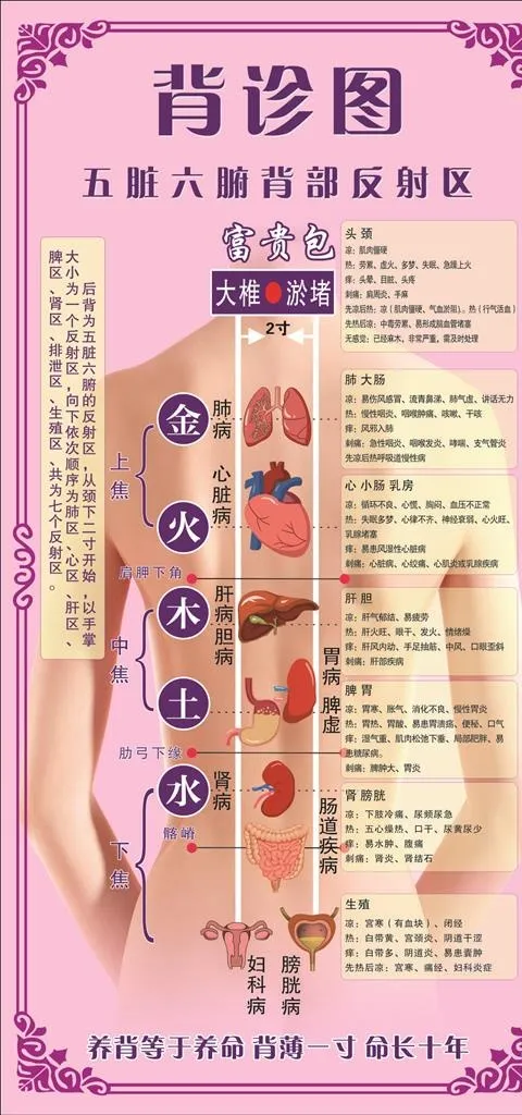 背诊图图片cdr矢量模版下载